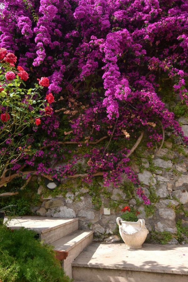 Villa Asia Holiday Home Sant'Agata sui due Golfi Bagian luar foto